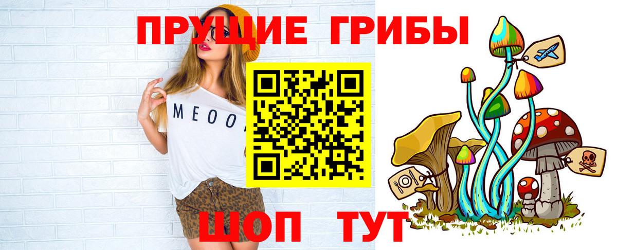 Псилоцибиновые грибы Cubensis Курчатов